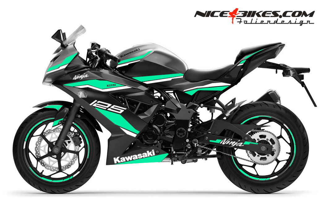 Kawasaki Ninja 125 2025 Miami Blue
