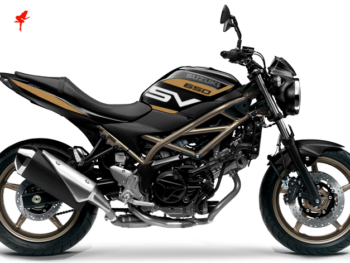 Foliendesign Suzuki SV 650 2023 Olympic Gold