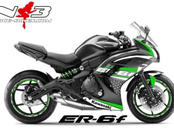 ER6F Race Style limgreen