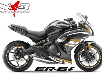 ER6F Race Style gold