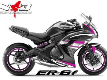 ER6F Race Style pink
