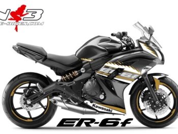 ER-6F Final Edition gold