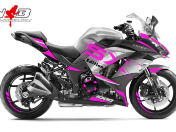 Z1000SX Dekor pink auf silbernen Maschine